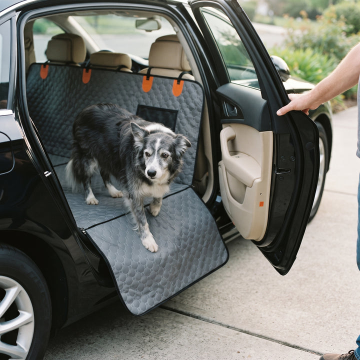 Dust & Paws Road Lounger in use at home