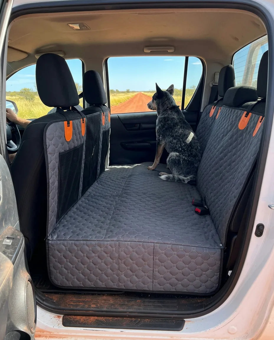 A blue cattle dog sitting on the deck in a dual-cab ute on a red dirt road